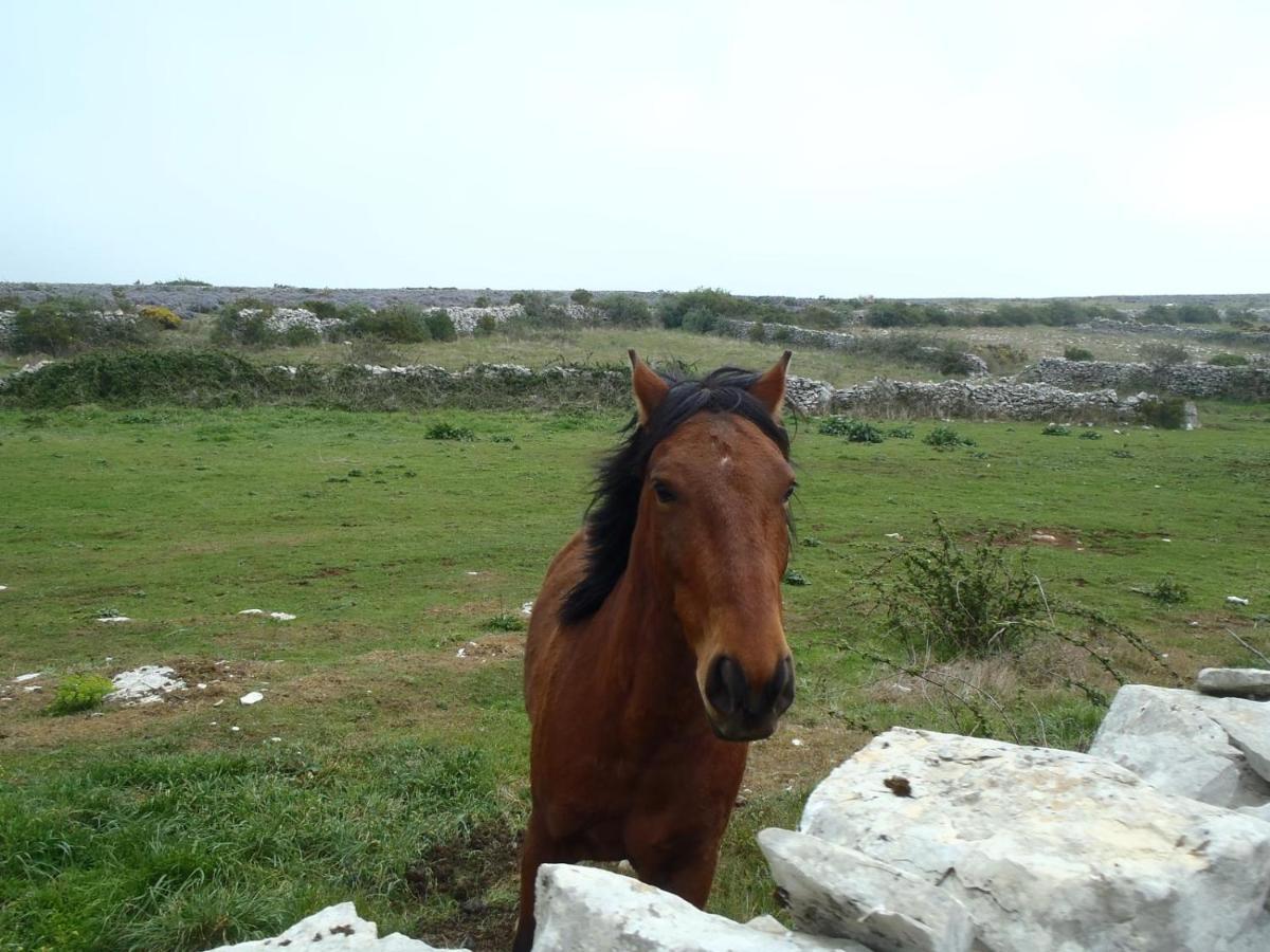 A Casa Da Serra - Alojamento Local Casal Velho Zewnętrze zdjęcie